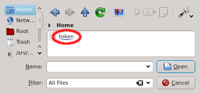 Using a token from a file