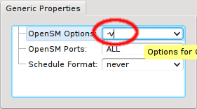 Editing an OpenSM option