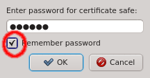 Remember Password