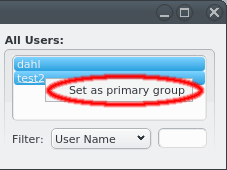 Set primary group for LDAP user