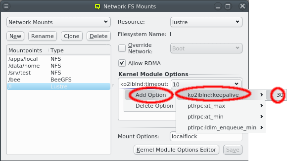 Specifying Lustre kernel module parameters