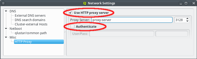 Setting a name for the proxy server