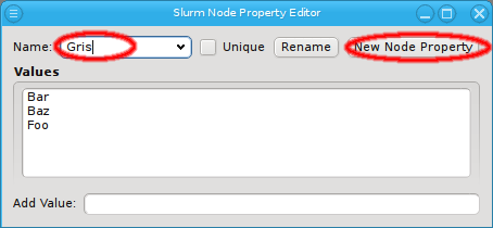 Defining a slurm node property