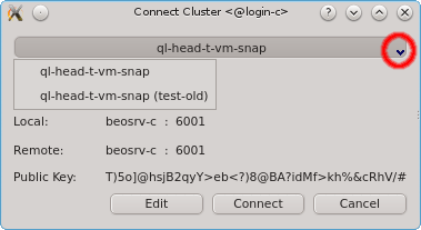 Select a Cluster Connection
