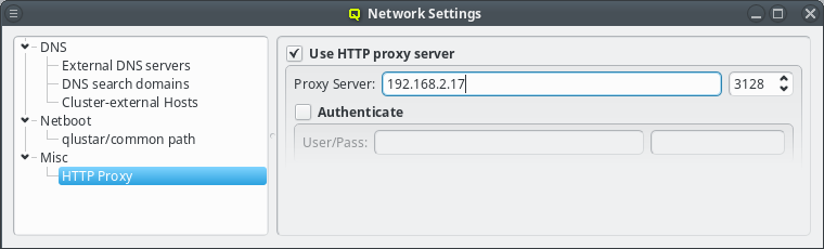 Setting an IP for the proxy server