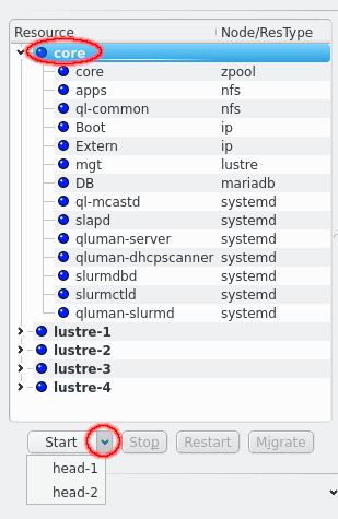 Starting a resource on a specific node