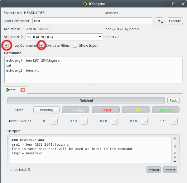The test command appearing in the RXengine window
