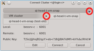 Selecting a cluster in a group