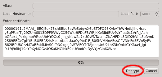 Pasting the one-time token