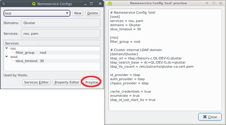 Nameservice Config Preview