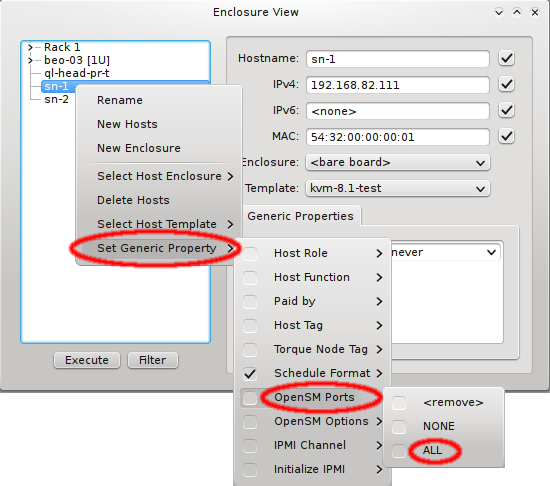 Activating OpenSM on nodes