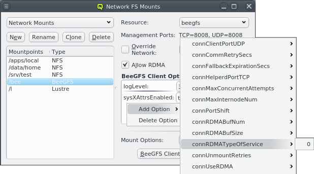 Adding a BeeGFS client option