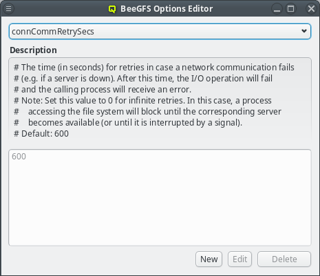 Adding values for BeeGFS options