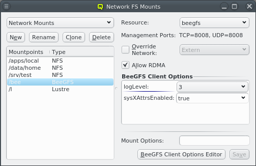 BeeGFS mount definition