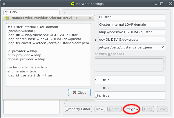 Nameservice Provider Preview