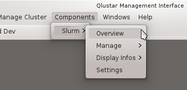 Invoking the Slurm Overview