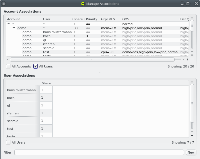 Manage Slurm Associations showing all Users