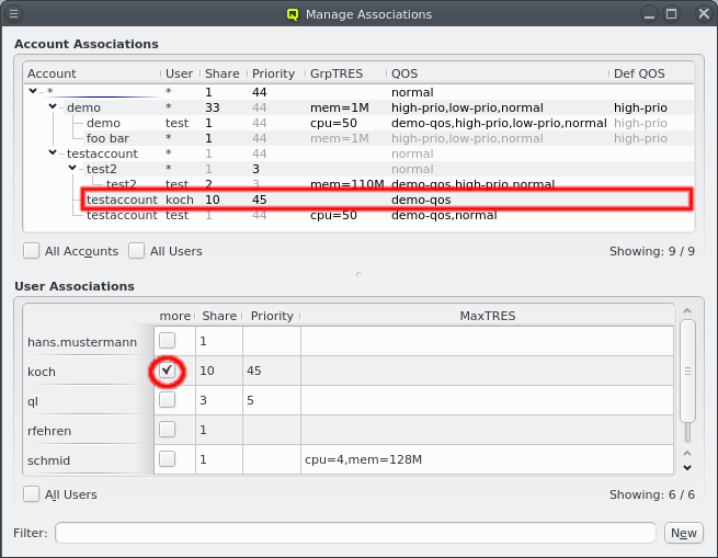 User with more account specific properties