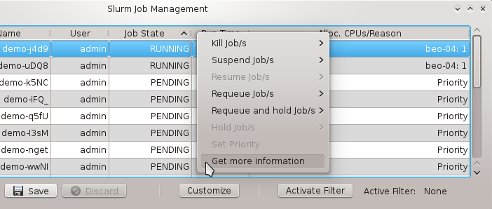 Getting detailed job information.