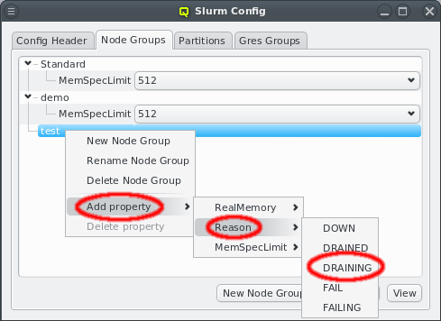 Adding a Slurm node property