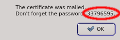 Mailing the Auth Token